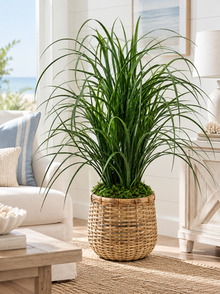 Grass in Basket
