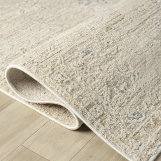 Velarde Traditional Abstract Indoor Area Rug
