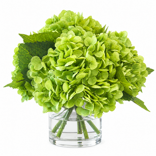 Green Hydrangea in Glass
