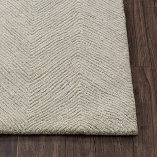 Nevaeh Transitional Chevron Indoor Area Rug
