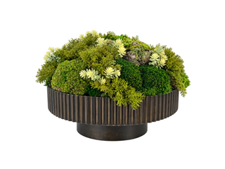 Green Moss in Large Wood Bowl
