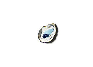 Oyster Trinket Dish
