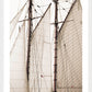 Sailing Details I