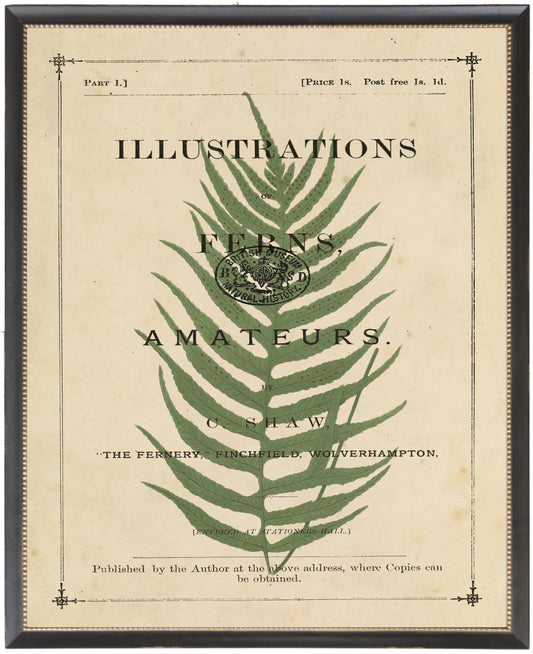 Fern on Vintage Book Title Page C - Online Only