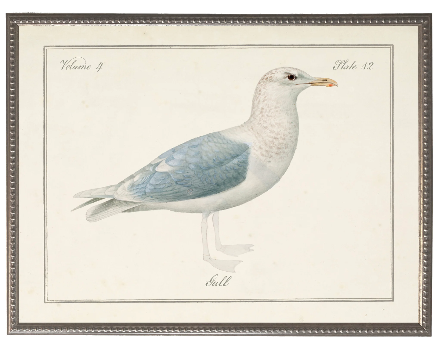 Vintage Gull Picture on a Distressed Background 28X22,11368 AC I