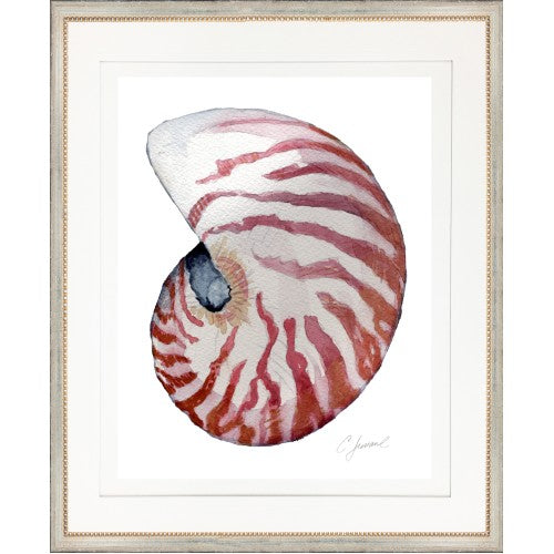 CL- SHELL 8 - 18" x 22" - 1" Silver Frame