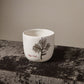 Evergreen Pot 6.5"x 5.75"