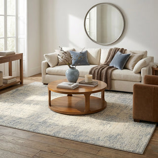 Vida Transitional Abstract Indoor Area Rug
