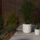 Candler Planter - Online Only