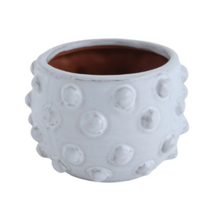Terracotta Planter with Raised Dots   Small
