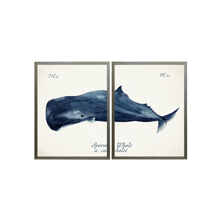 Diptych Navy Sperm Whale
