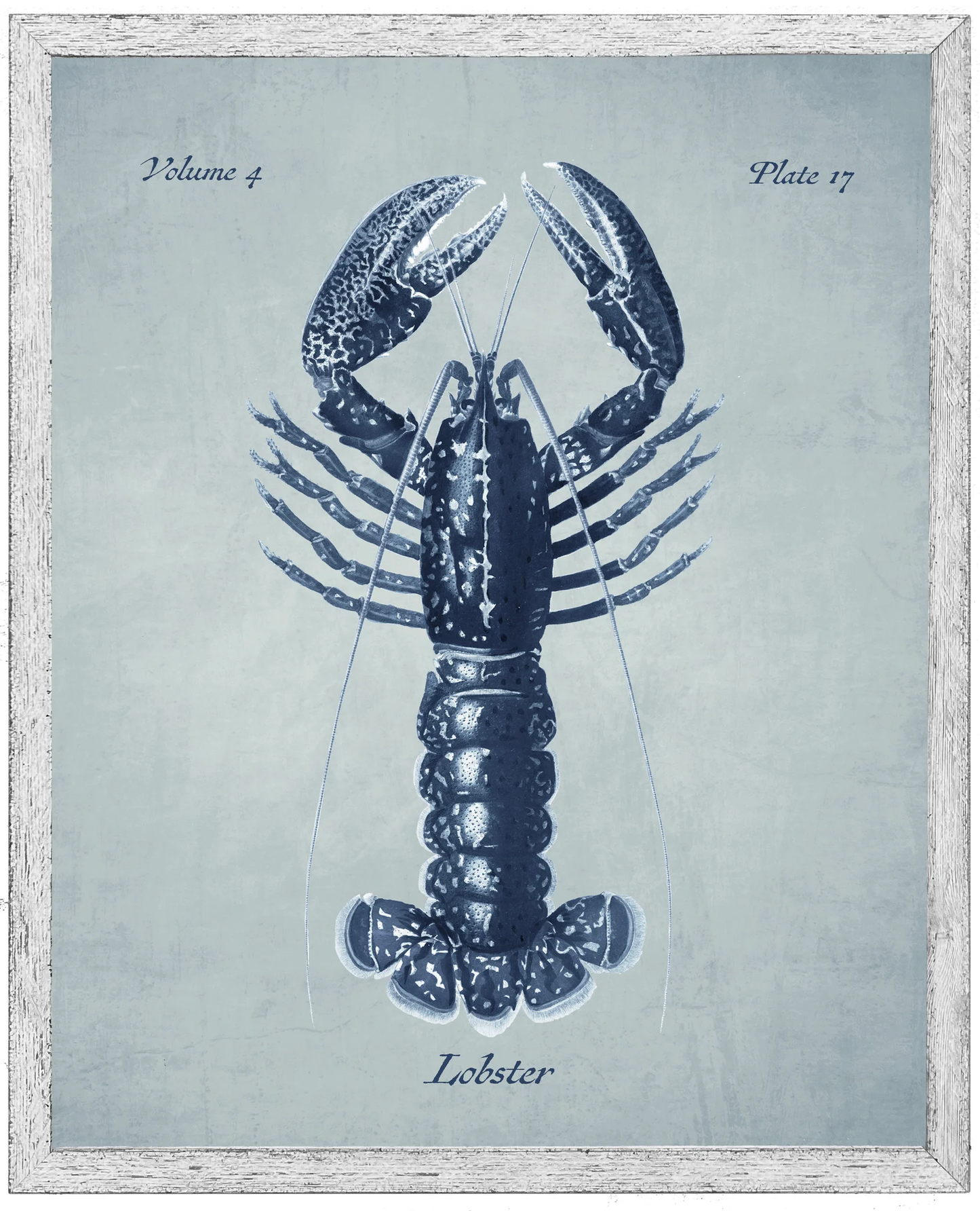 Navy Lobster on a Pale Blue Distressed Background 24X30