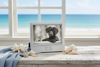 Top Dog Beaded Frame   4" x 6"
