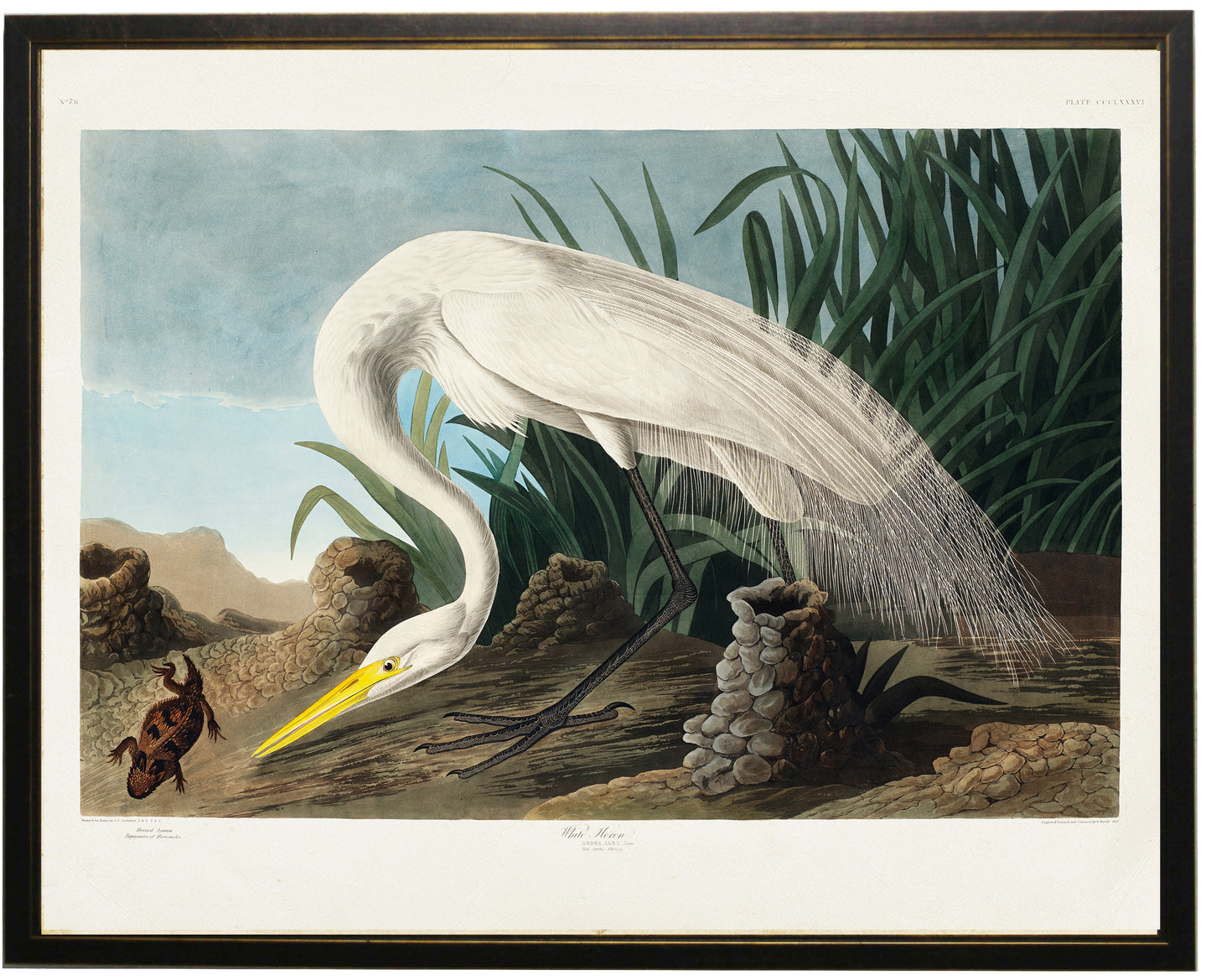 White Pelican with Red Lizard - Online Only ***