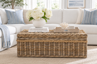 Sabrina Basket Coffee Table with Storage
