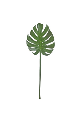 Green Split Leaf
