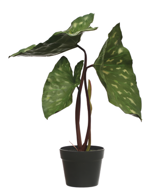Faux Elephant Ear Plant in Plastic Pot & Black
