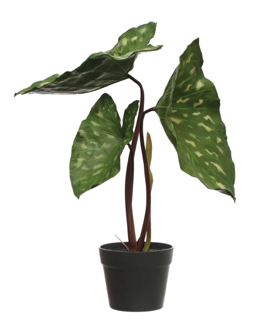 Faux Elephant Ear Plant in Plastic Pot & Black