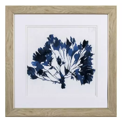 Indigo Coral B II