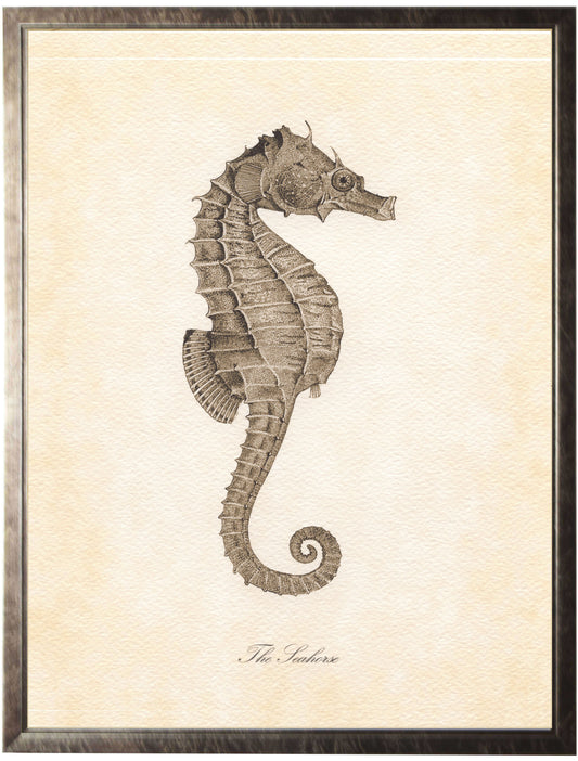 Large Seahorse - Online Only