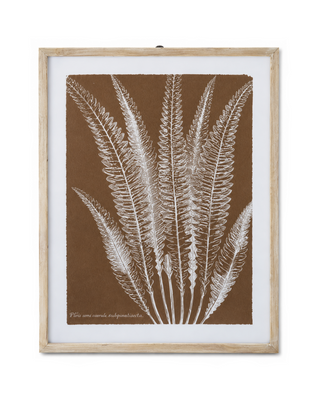 27.75 Inch Natural Wood Framed Brown & White Fern Print III
