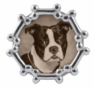 Dog Bone Round Frame
