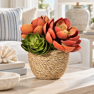 Green & Orange Succulents in Small Pot
