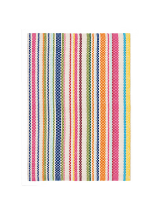Summer Stripe Handwoven Indoor/Outdoor Rug
