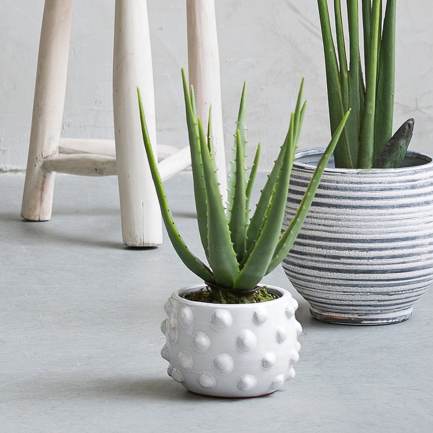 Terracotta Planter with Raised Dots Small