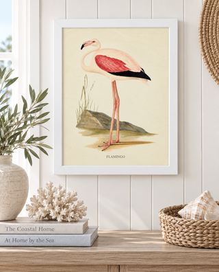 Flamingo with Pink Wing
