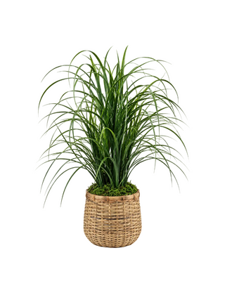Grass in Basket
