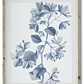27.75 Inch Wood Framed Blue & White Botanical Print II