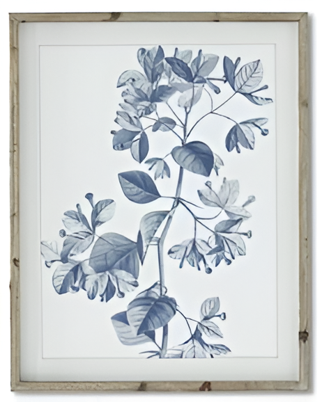 27.75 Inch Wood Framed Blue & White Botanical Print II