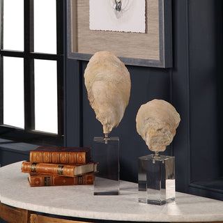 Oyster Shell Sculptures   Set of 2
