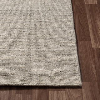 Contemporary Solid Indoor Area Rug
