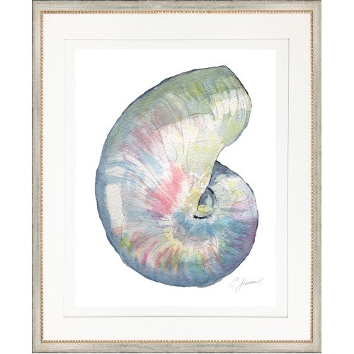 CL- SHELL 7 - 18" x 22" - 1" Silver Frame