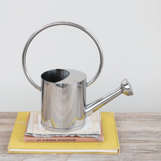 1 Gallon Stainless Steel Watering Can
