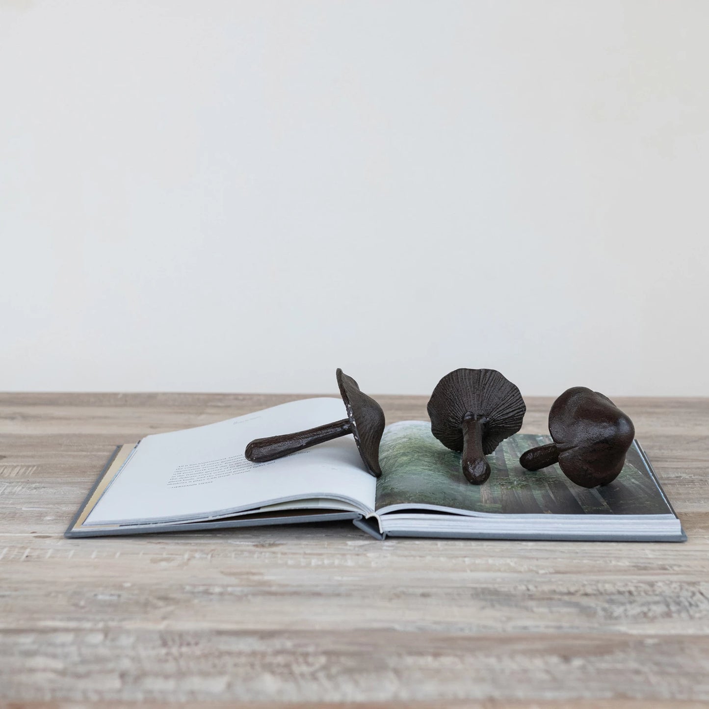 Cast Iron Mushroom I