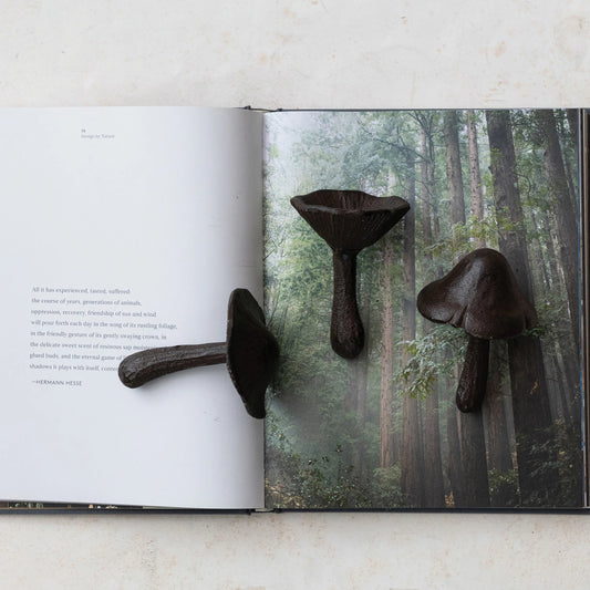 Cast Iron Mushroom II