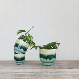 Terra cotta Planter
