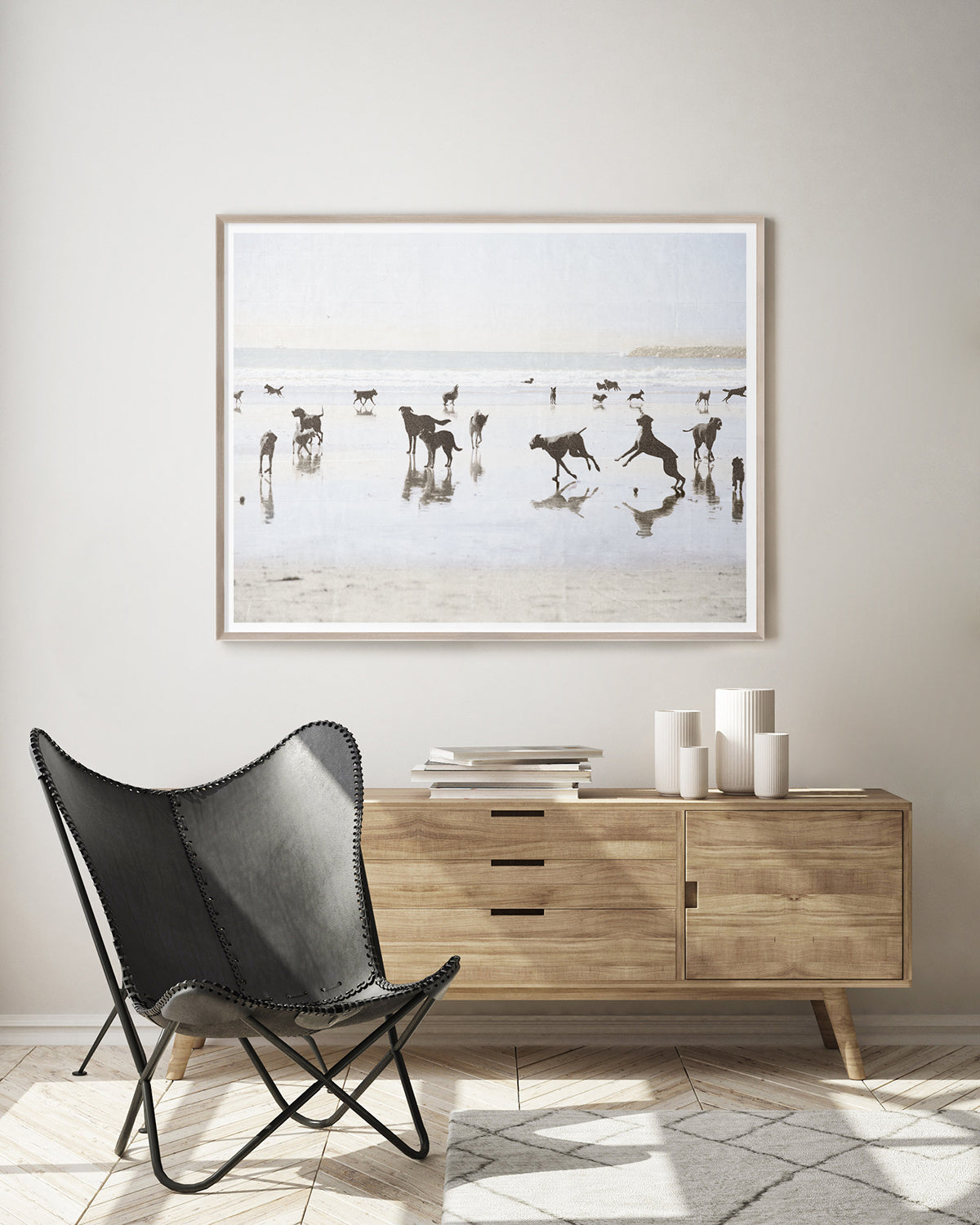 Dogs Day at the Beach