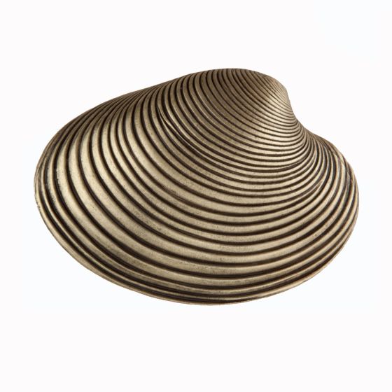 Set of 4 Clam Shell Knobs