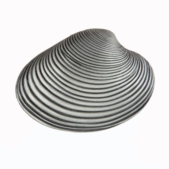 Set of 4 Clam Shell Knobs