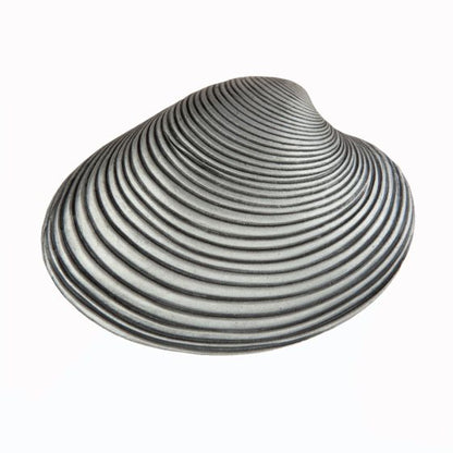 Set of 4 Clam Shell Knobs