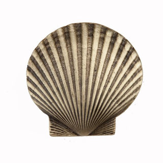 Set of 4 Large Scallop Knob
