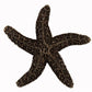 Set of 4 Natural Starfish Knob