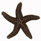 Set of 4 Natural Starfish Knob