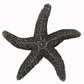 Set of 4 Natural Starfish Knob