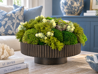 Green Moss in Large Wood Bowl
