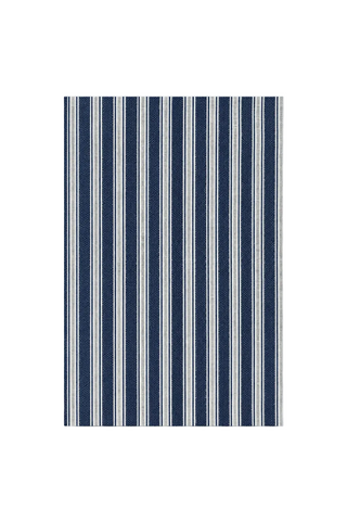 Vertical Stripe Blue & White Outdoor Rug
